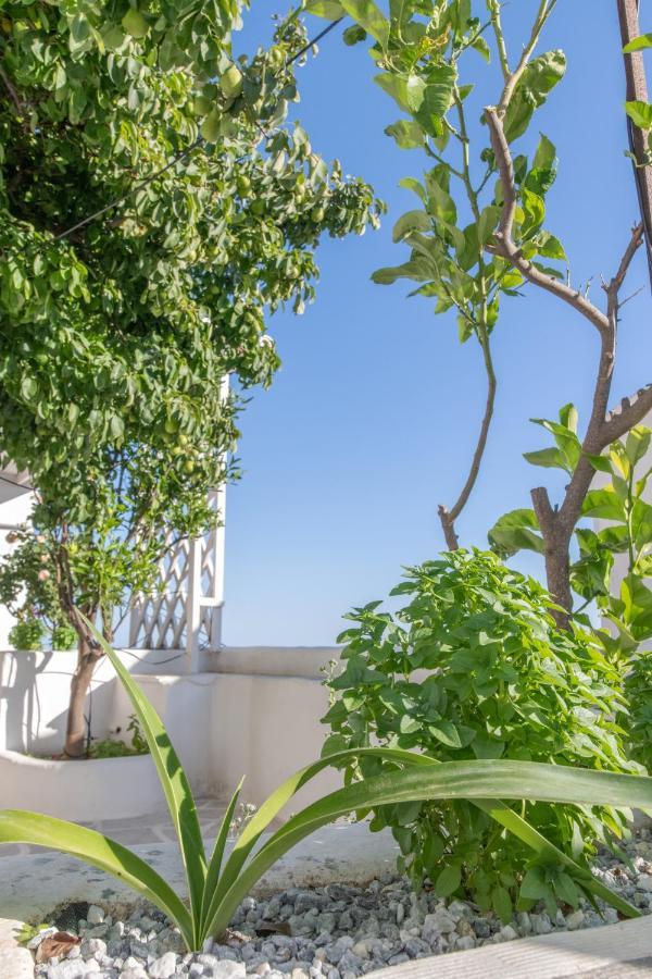 Myroviglia Ysternia Isternia (Tinos)